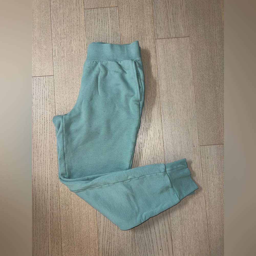 Aritzia CozyAF Fleece joggers